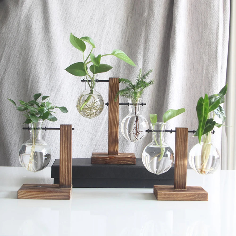 Glass Bulb Vase with Wooden Stand